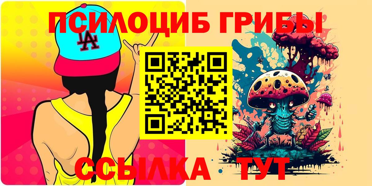 где продают   Нерюнгри  Галлюциногенные грибы мицелий  Псилоцибиновые грибы Psilocybe 
