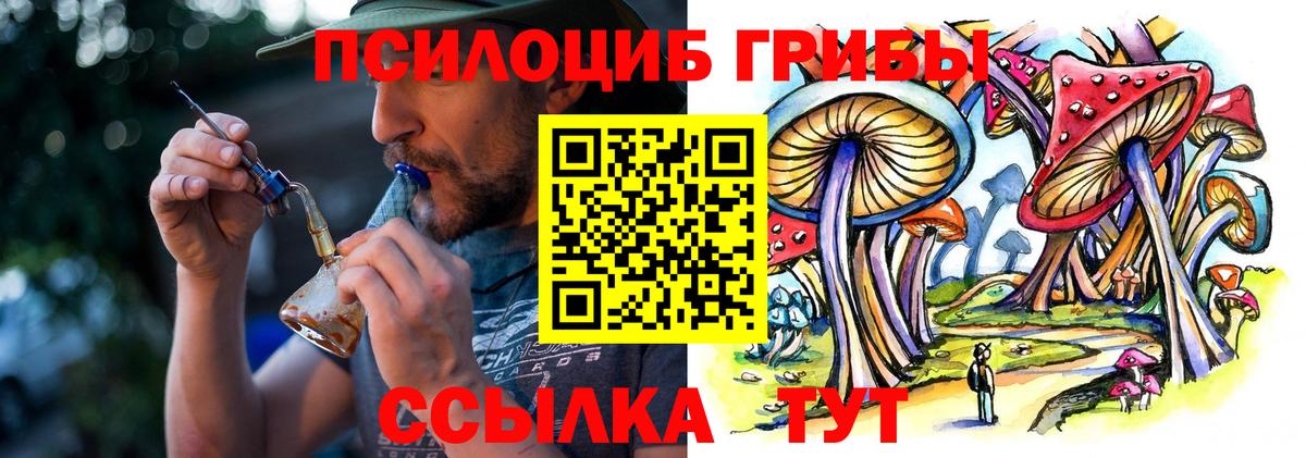 Нерюнгри  Псилоцибиновые грибы Psilocybine cubensis  Галлюциногенные грибы Cubensis  Вход с VPN 